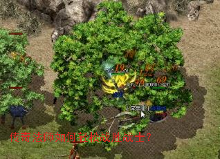 ���淨ʦ�������սʤսʿ��