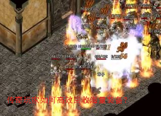 ���������θ�Ч���պ���װ����