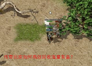 ���������θ�Ч���պ���װ����