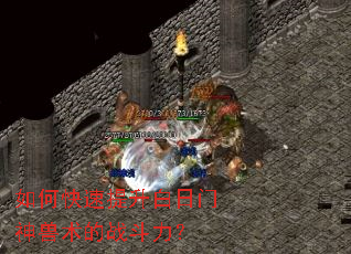 ��ο���������������������ս������