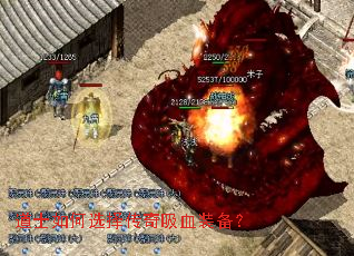 ��ʿ���ѡ������Ѫװ����