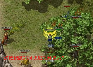 ɳ�Ǿ�����ο�������ս����