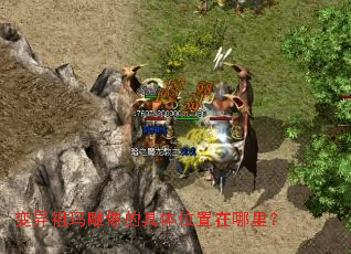 �����������ľ���λ�������