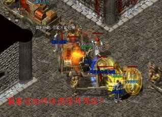 ����ʡ��ο��������ȼ���