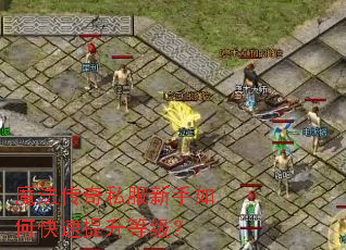 ħ������˽��������ο��������ȼ���