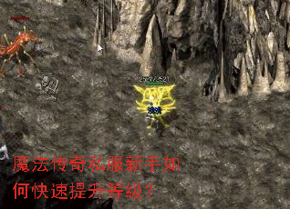 ħ������˽��������ο��������ȼ���