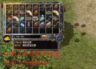 ��δ���Ϸ���ֿ��ٳɳ�Ϊ����ǿ�ߣ�