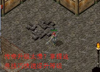 ��������̫����������Щ���ɿ��������ȼ�