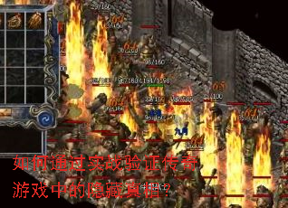 ���ͨ��ʵս��֤������Ϸ�е��������ࣿ