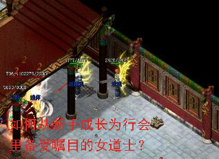 如何从新手成长为行会里备受瞩目的女道士? 如何从新手成长为行会里备受瞩目的女道士?