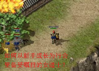 如何从新手成长为行会里备受瞩目的女道士? 如何从新手成长为行会里备受瞩目的女道士?