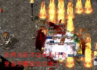 如何从新手成长为行会里备受瞩目的女道士? 如何从新手成长为行会里备受瞩目的女道士?