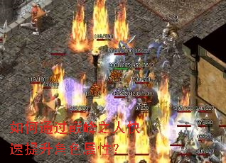 如何通过巅峰之人快速提升角色属性? 如何通过巅峰之人快速提升角色属性?