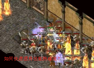 ��ο����������������ȣ�