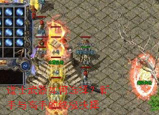 ��ʿ�������ѡ����������ֵ��ռ�����