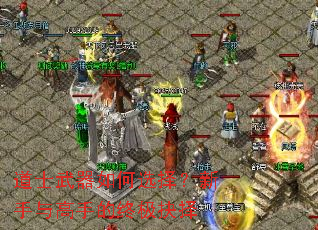 ��ʿ�������ѡ����������ֵ��ռ�����