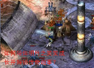 如何陪伴明月之笑笑成长并解锁传奇趣事? 如何陪伴明月之笑笑成长并解锁传奇趣事?