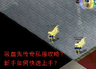 ��Ѫ������˽�����ԣ�������ο������֣�