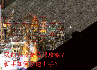 ��Ѫ������˽�����ԣ�������ο������֣�