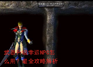 ������������NPC��ô�ã���ȫ���Խ���