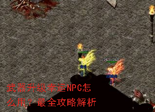 ������������NPC��ô�ã���ȫ���Խ���