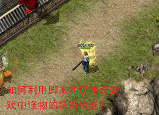 如何利用脚本实现传奇游戏中怪物的精准传送? 如何利用脚本实现传奇游戏中怪物的精准传送?