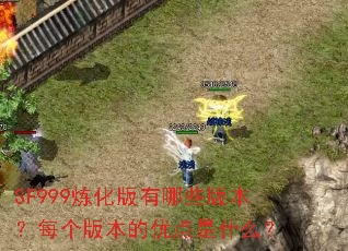 SF999����������Щ�汾��ÿ���汾���ŵ���ʲô��