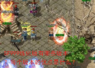 SF999����������Щ�汾��ÿ���汾���ŵ���ʲô��