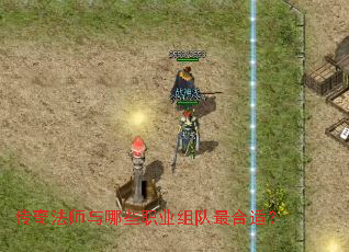 ���淨ʦ����Щְҵ�������ʣ�