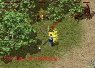 ����������Զ�����װ����