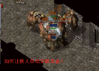 ����������Զ�����װ����