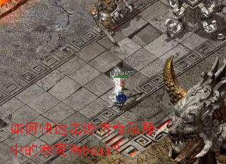 ��ο��ٻ��ܴ���˽���еĺ��ĺ�boss��