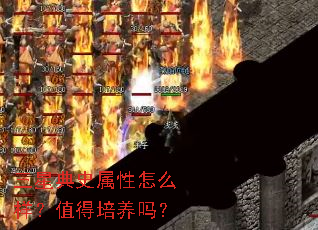 ���ǵ�ʷ������ô����ֵ��������