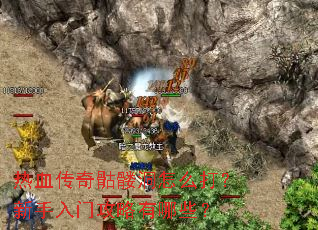 热血传奇骷髅洞怎么打?新手入门攻略有哪些? 热血传奇骷髅洞怎么打?新手入门攻略有哪些?
