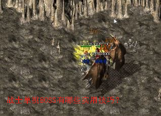 սʿ����BOSS����Щʵ�ü��ɣ�