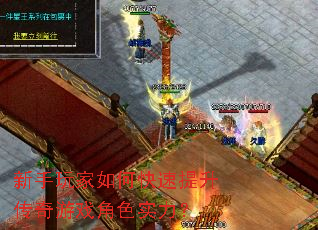 ���������ο�������������Ϸ��ɫʵ����