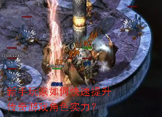 ���������ο�������������Ϸ��ɫʵ����