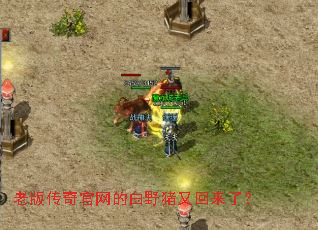 老版传奇官网的白野猪又回来了? 老版传奇官网的白野猪又回来了?