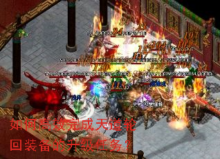 ��θ�Ч�������ֻ�װ������������