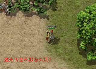 迷失传世私服怎么玩? 迷失传世私服怎么玩?