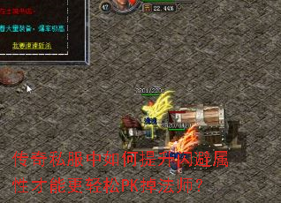 ����˽������������������Բ��ܸ�����PK����ʦ��