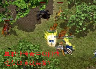 ��ְҵ��������ο��ٻ�ȡ����װ����