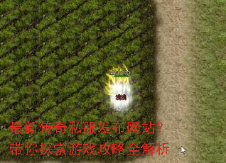 ���´���˽��������վ������̽����Ϸ����ȫ����