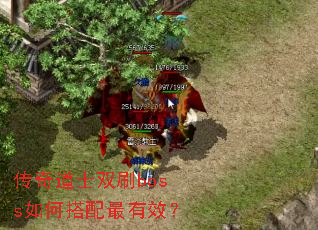 传奇道士双刷boss如何搭配最有效? 传奇道士双刷boss如何搭配最有效?