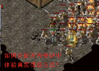 ������¿�����SF��������ʵ��л�����