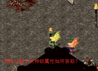 ����ͷ��������������λ�ȡ��