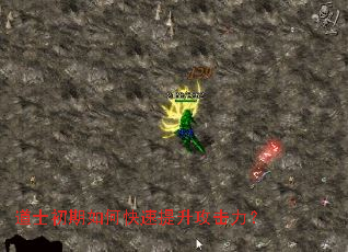 ��ʿ������ο���������������