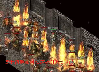 ��ʿ������ο���������������