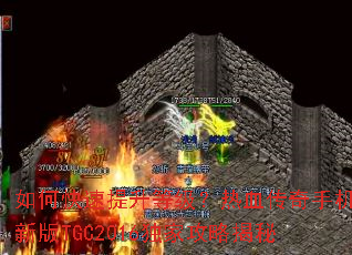 ��ο��������ȼ�����Ѫ�����ֻ��°�TGC2016���ҹ��Խ���