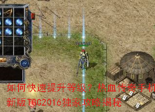 ��ο��������ȼ�����Ѫ�����ֻ��°�TGC2016���ҹ��Խ���